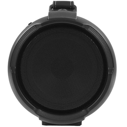 Купить Портативная колонка Dialog Progressive AP-950, черный  5356317. Характеристики, отзывы и цены в Донецке