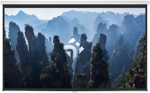 Купить 150" Экран для проектора DEXP WMD-150  9027039. Характеристики, отзывы и цены в Донецке