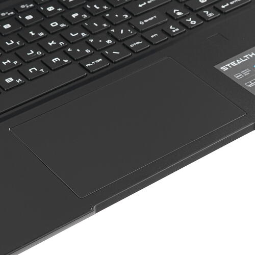 Купить 17.3" Ноутбук MSI Stealth 17 Studio A13VH-057RU черный  5094193. Характеристики, отзывы и цены в Донецке