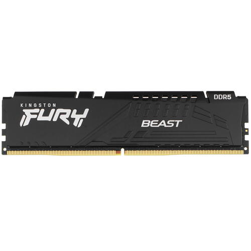 Купить Оперативная память Kingston FURY Beast Black [KF556C36BBE-32] 32 ГБ  5093298. Характеристики, отзывы и цены в Донецке