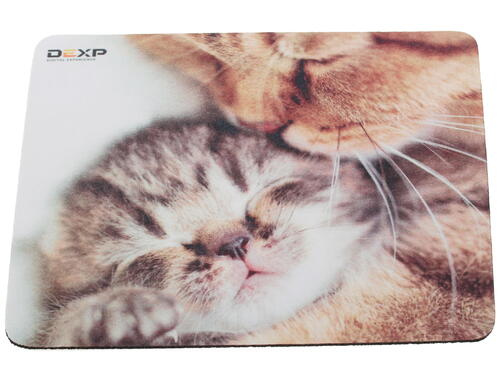 Купить Коврик DEXP OM-XS Kitten  разноцветный  1048588. Характеристики, отзывы и цены в Донецке