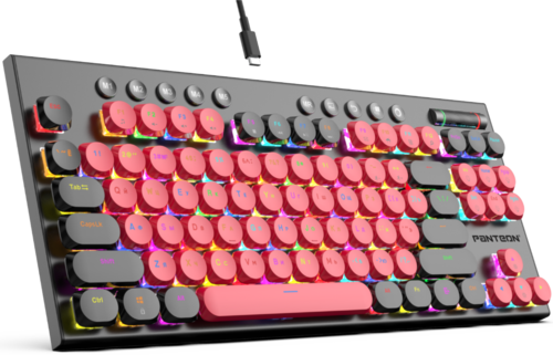 Купить Клавиатура проводная Panteon T20 PRO BS HS D [PANTEON T20 PROBSHSD (55)]  5483700. Характеристики, отзывы и цены в Донецке