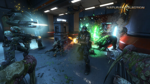 Купить Игра Natural Selection 2 (Steam)  5601569. Характеристики, отзывы и цены в Донецке