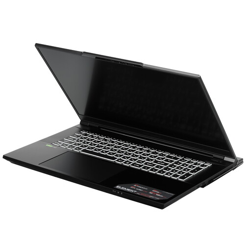 Купить 17.3" Ноутбук ARDOR Gaming ELEMENT L17-I9ND400 черный  9083819. Характеристики, отзывы и цены в Донецке