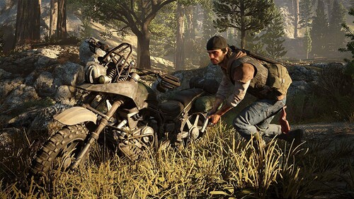 Купить Игра Days Gone (PS4)  5647634. Характеристики, отзывы и цены в Донецке