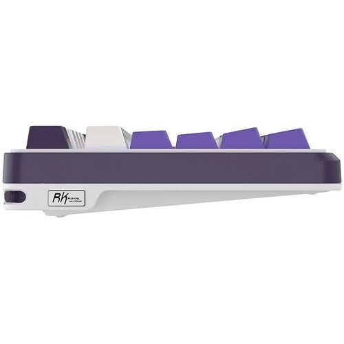 Купить Клавиатура  проводная + беспроводная Royal Kludge RK-S98  9173828. Характеристики, отзывы и цены в Донецке