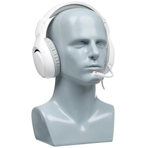 Купить Проводные наушники DEXP Anger белый 2021  4892234. Характеристики, отзывы и цены в Донецке