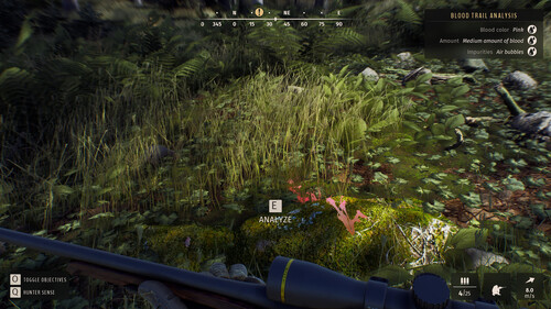 Купить Игра Way of the Hunter Elite Edition (Steam)  5484584. Характеристики, отзывы и цены в Донецке