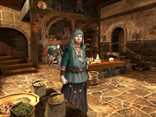 Купить Игра The Guild II (Steam)  5484569. Характеристики, отзывы и цены в Донецке