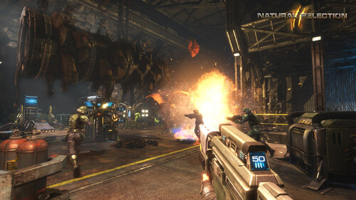 Купить Игра Natural Selection 2 (Steam)  5601569. Характеристики, отзывы и цены в Донецке