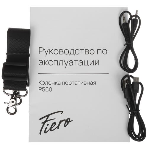 Купить Портативная колонка Fiero Fortune P560, черный  5401566. Характеристики, отзывы и цены в Донецке