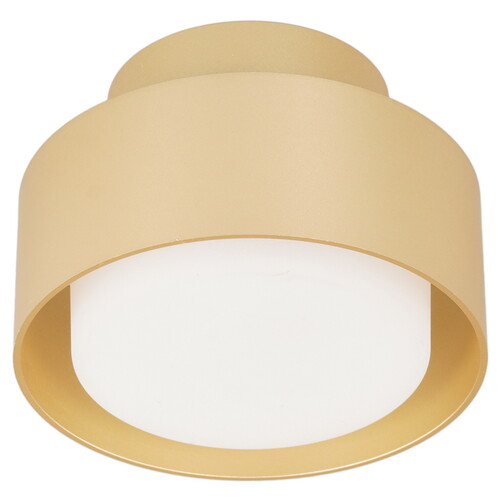 Купить Светильник потолочный Technical C092CL-GX53-MG золотистый/золотистый  9143338. Характеристики, отзывы и цены в Донецке