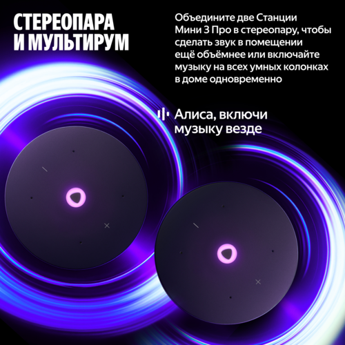 Купить Умная колонка Яндекс Станция Мини 3 Про черный  5632411. Характеристики, отзывы и цены в Донецке