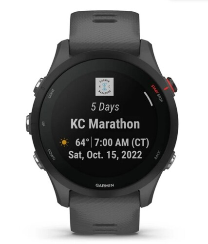 Купить Спортивные часы Garmin Forerunner 255  5475331. Характеристики, отзывы и цены в Донецке