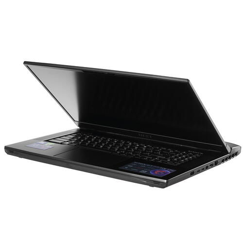 Купить 17.3" Ноутбук MSI Titan GT77 HX 13VI-096RU черный  5094202. Характеристики, отзывы и цены в Донецке