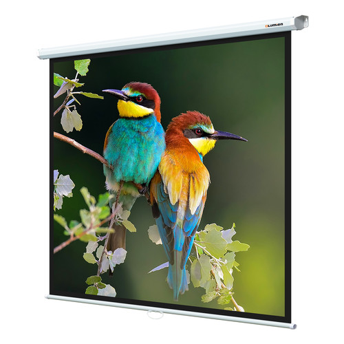 Купить 97" Экран для проектора Lumien Eco Picture LEP-100108  1677187. Характеристики, отзывы и цены в Донецке