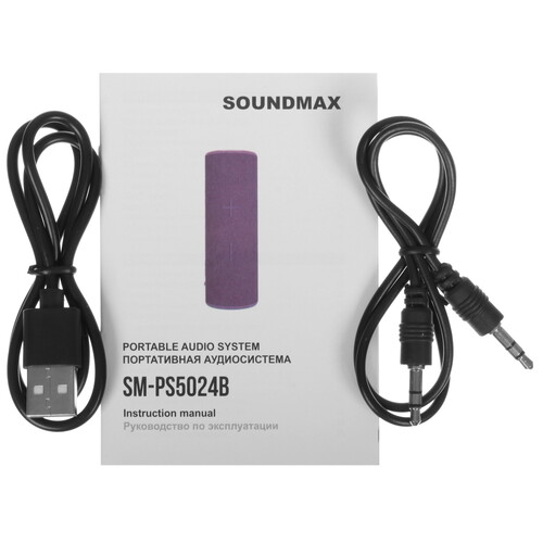 Купить Портативная колонка Soundmax SM-PS5024B, оранжевый  5466947. Характеристики, отзывы и цены в Донецке