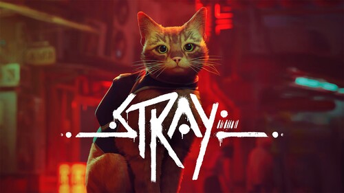 Купить Игра Stray (Switch)  5608781. Характеристики, отзывы и цены в Донецке