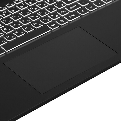 Купить 17.3" Ноутбук ARDOR GAMING NEO N17-I5ND415 черный  9127041. Характеристики, отзывы и цены в Донецке