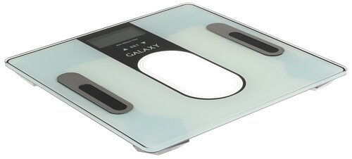Купить Весы Galaxy GL 4852 серый  1142605. Характеристики, отзывы и цены в Донецке