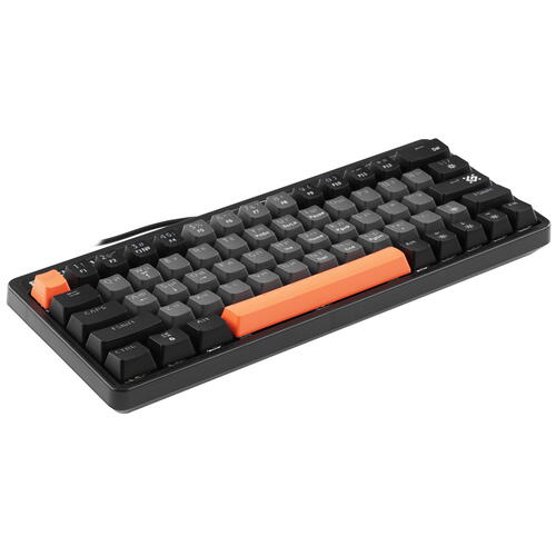 Купить Клавиатура проводная Defender Black Raven GK-417 [45416]  5413473. Характеристики, отзывы и цены в Донецке