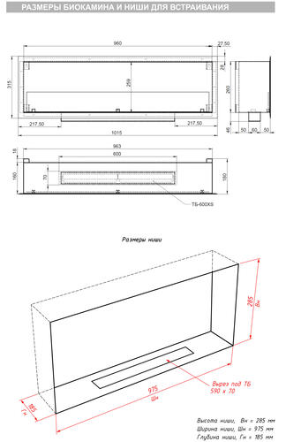 Купить Биокамин Firelight BFP/P-1015 XS черный  9101975. Характеристики, отзывы и цены в Донецке