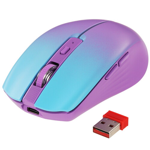 Купить Мышь беспроводная Defender Mystery MM-301  9202851. Характеристики, отзывы и цены в Донецке