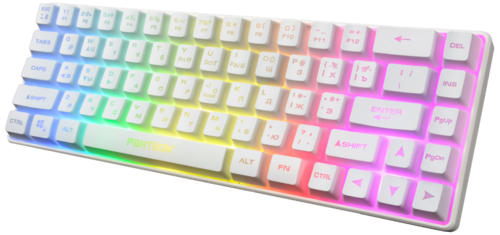 Купить Клавиатура проводная Panteon M2 [PANTEON M2 White]  5483709. Характеристики, отзывы и цены в Донецке