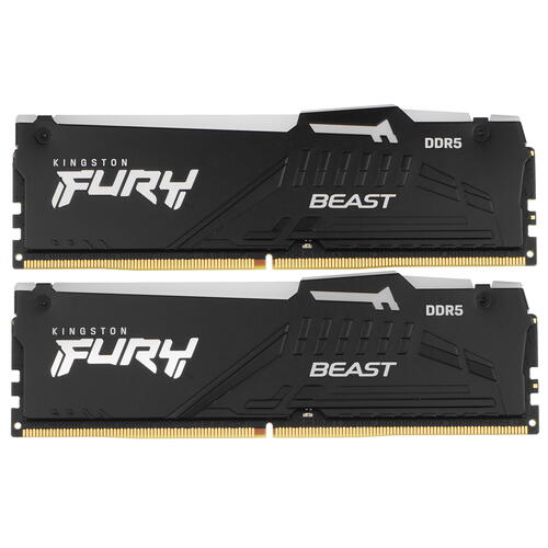 Купить Оперативная память Kingston FURY Beast Black AMD RGB [KF560C36BBEAK2-16] 16 ГБ  5093148. Характеристики, отзывы и цены в Донецке