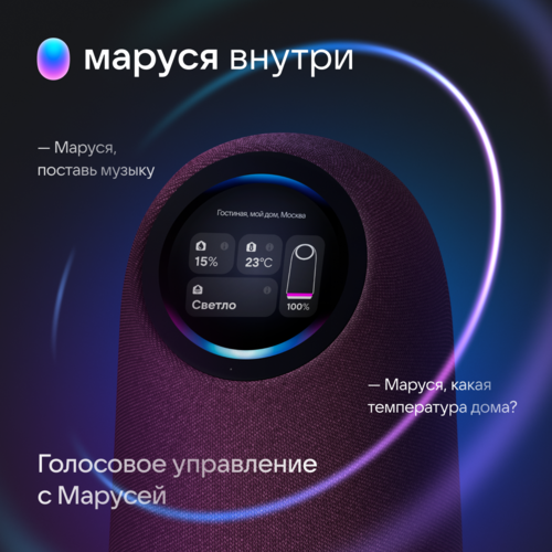 Купить Умная колонка VK Капсула Про фиолетовый  5496553. Характеристики, отзывы и цены в Донецке
