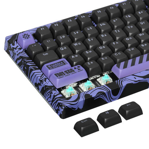 Купить Клавиатура  проводная Дарк проджект x AKKO 5087S Blue  5462345. Характеристики, отзывы и цены в Донецке
