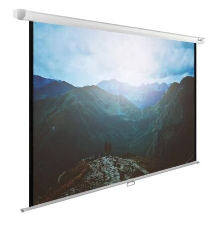 Купить 135" Экран для проектора Cactus WallExpert CS-PSWE-240X240-WT  1254529. Характеристики, отзывы и цены в Донецке