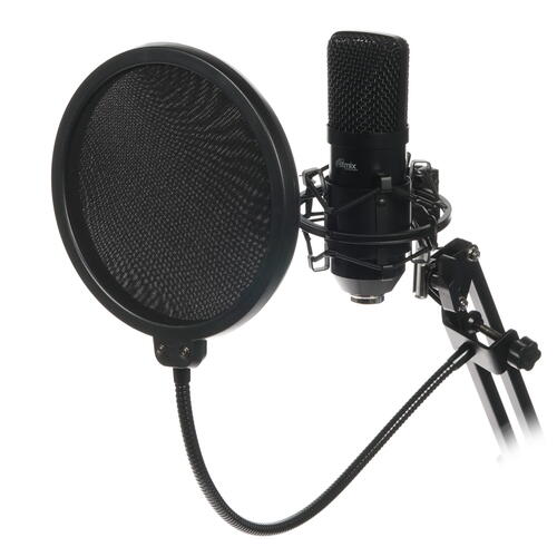 Купить Микрофонный комплект Ritmix RDM-169 черный  1624929. Характеристики, отзывы и цены в Донецке