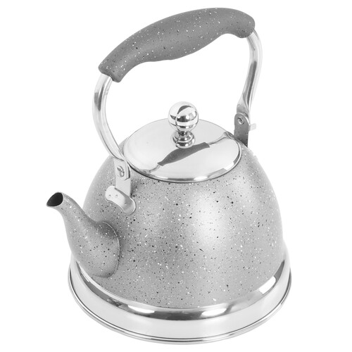 Купить Чайник ALPENKOK AK-545 серый  9211919. Характеристики, отзывы и цены в Донецке
