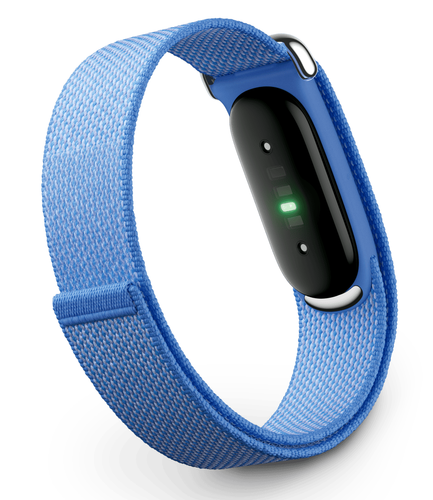 Купить Фитнес-браслет Google Fitbit Air  9382578. Характеристики, отзывы и цены в Донецке