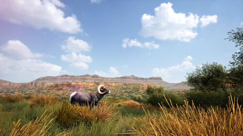 Купить Игра Hunting Simulator 2: Bear Hunter Edition (Steam)  5622354. Характеристики, отзывы и цены в Донецке