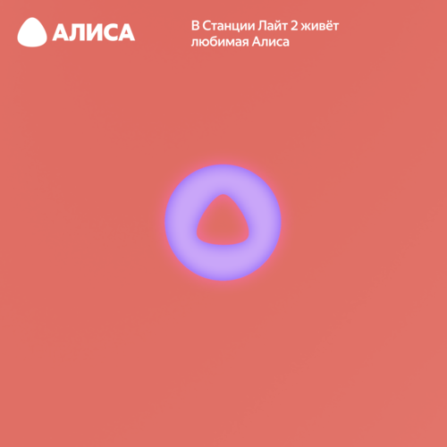 Купить Умная колонка Яндекс Станция Лайт 2 оранжевый  5496052. Характеристики, отзывы и цены в Донецке