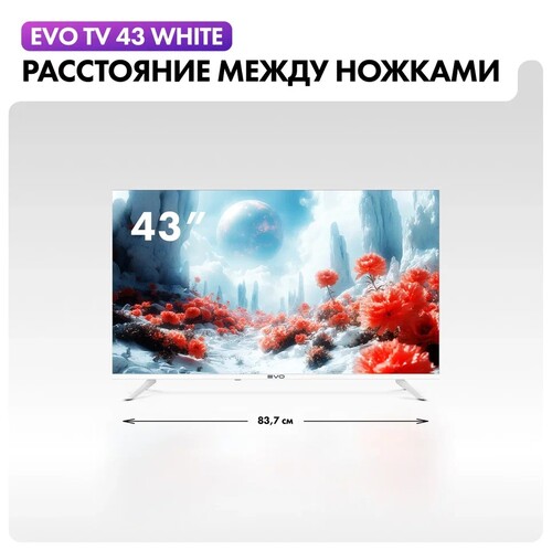 Купить 43" (109 см) Телевизор EVO TV 43 белый  5607184. Характеристики, отзывы и цены в Донецке