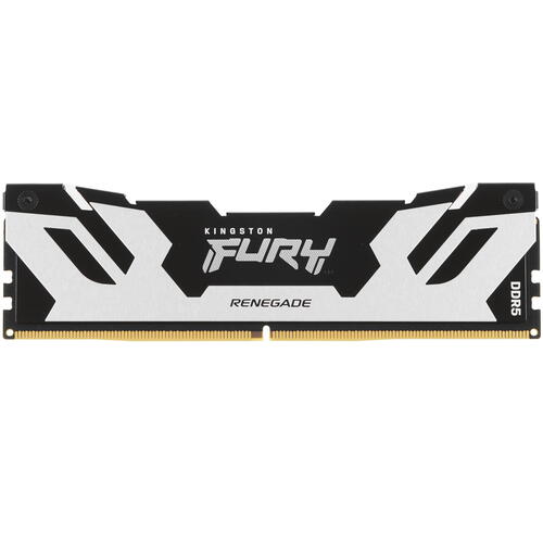 Купить Оперативная память Kingston FURY Renegade Silver [KF564C32RS-24] 24 ГБ  5436235. Характеристики, отзывы и цены в Донецке