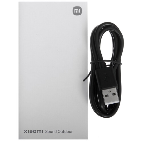 Купить Портативная колонка Xiaomi Sound Outdoor, черный  5460058. Характеристики, отзывы и цены в Донецке