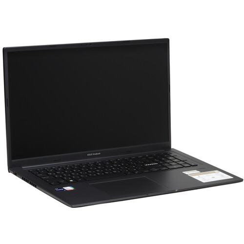 Купить 17.3" Ноутбук ASUS Vivobook 17X K3704VA-AU101 черный  5436114. Характеристики, отзывы и цены в Донецке