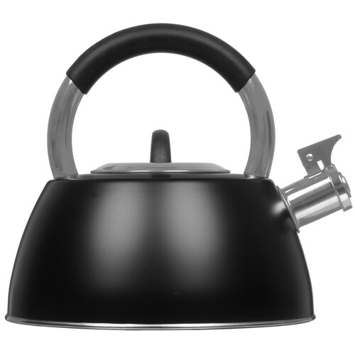Купить Чайник для плиты Regent inox TEA 93-TEA-52 черный  5464014. Характеристики, отзывы и цены в Донецке