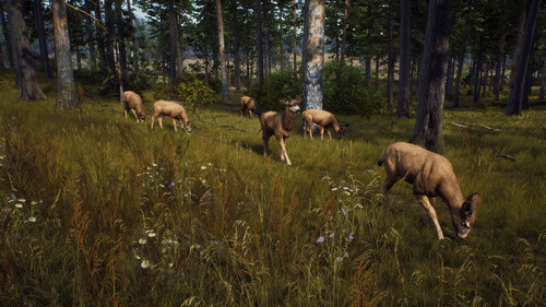 Купить Игра Way of the Hunter Elite Edition (Steam)  5484584. Характеристики, отзывы и цены в Донецке