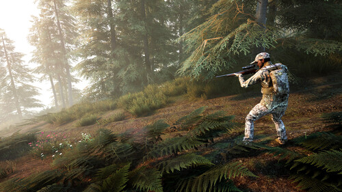 Купить Дополнение для игры Hunting Simulator 2: Bear Hunter Pack (Steam)  5622355. Характеристики, отзывы и цены в Донецке
