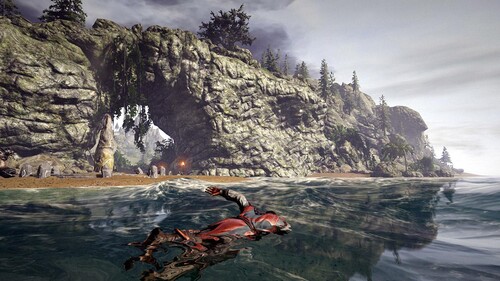 Купить Игра Risen 3: Titan Lords (Steam)  5618243. Характеристики, отзывы и цены в Донецке