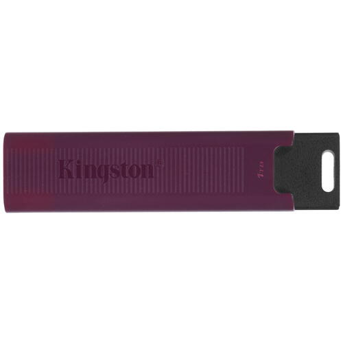 Купить Память USB Flash 1024 ГБ Flash Kingston DataTraveler Max [DTMAXA/1TB]  5409056. Характеристики, отзывы и цены в Донецке