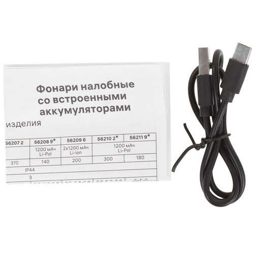 Купить Фонарь Ritter 56210 2  9227092. Характеристики, отзывы и цены в Донецке