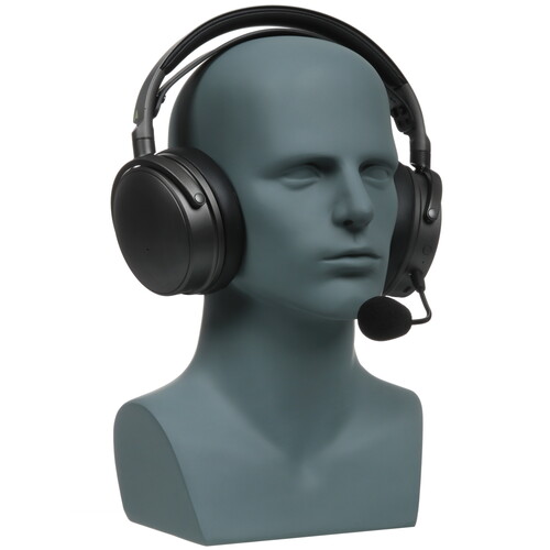 Купить Беспроводные/проводные наушники Audeze Maxwell черный 2023  5609143. Характеристики, отзывы и цены в Донецке
