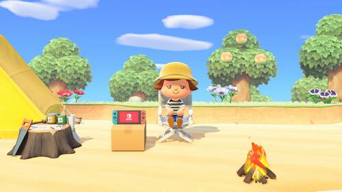Купить Игра Animal Crossing: New Horizons (Switch)  1633084. Характеристики, отзывы и цены в Донецке