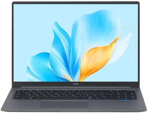 Купить 16" Ноутбук HONOR MagicBook X16 2025 серый  5608547. Характеристики, отзывы и цены в Донецке